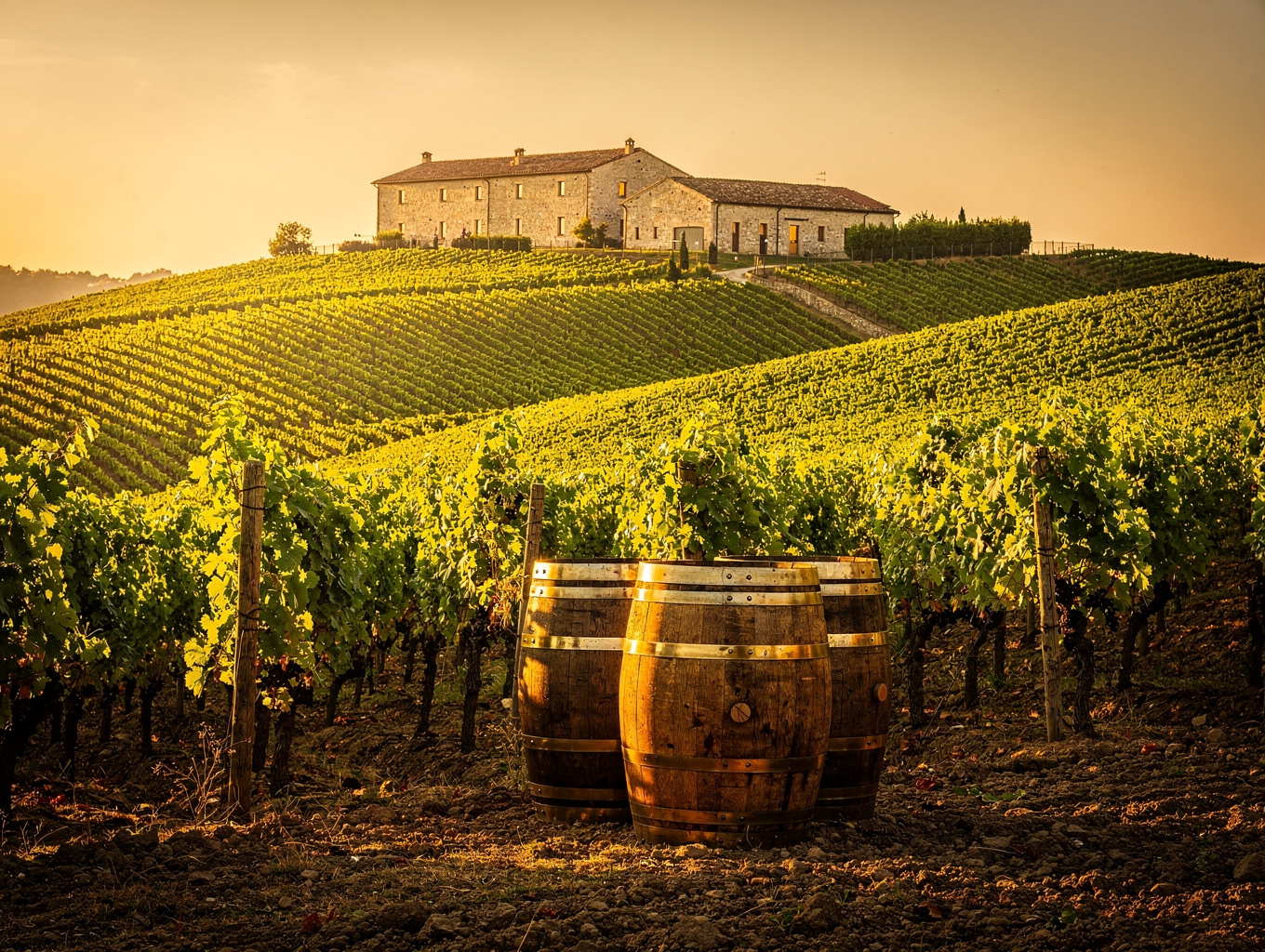 La Stoppa vineyard and cellars